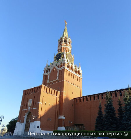 Дайджест новостей от организации.