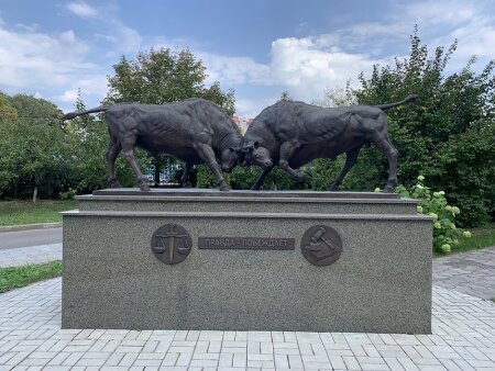 Информация о деятельности Организации