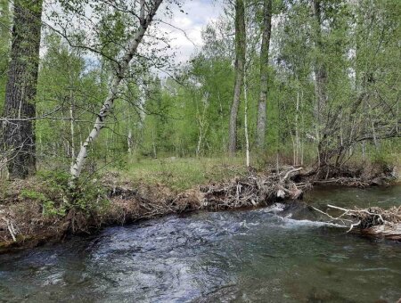 О деятельности Центра антикоррупционных экспертиз: обращения родственников российских военных и обзор СМИ за 9 июля 2022 г.