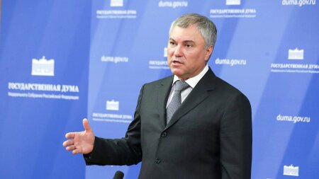 Вячеслав Володин предложил ужесточить ответственность за фиктивные справки для лицензий на оружие. Предложения экспертов Центра антикоррупционных экспертиз России