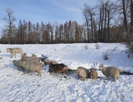 Суд в Испании отклонил иск экс-сенатора от Тувы, бизнесмена Пугачева, требовавшего от России миллиарды долларов