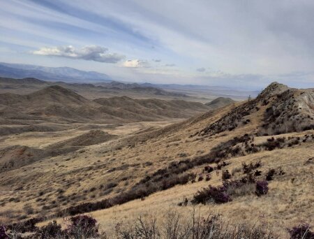 Лесные пожары в Сибири и новая следственная практика