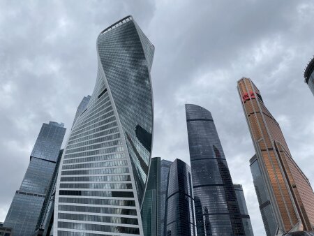 Дайджест: о работе организации и другие новости