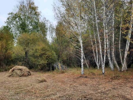 Кого освободят от частичной мобилизации