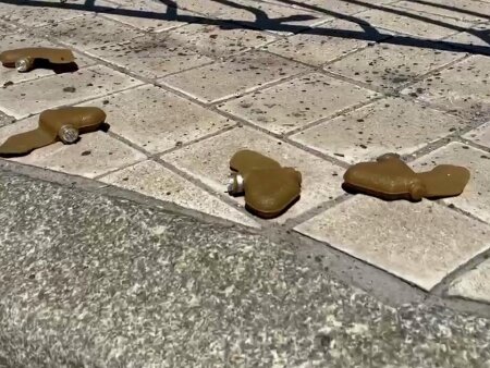 Как сообщают СМИ Россия направила в ООН письмо с дополнительной информацией о применении ВСУ мин "Лепесток"