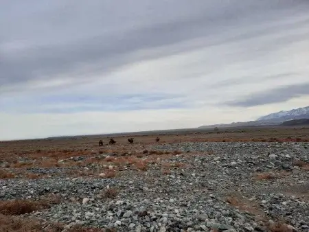 Госдума убирает лишнюю бюрократию из законодательства об НКО