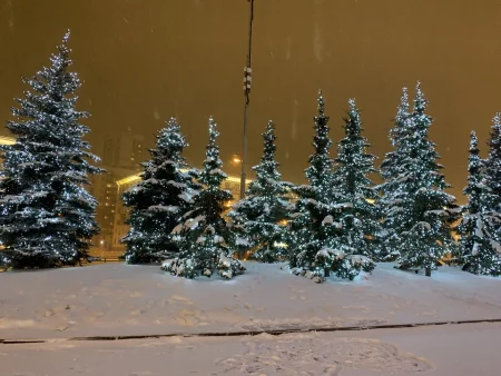 Отчет об использовании имущества Межрегиональной общественной организации «Центр антикоррупционных экспертиз и содействия по вопросам противодействия коррупции» за 2022 год