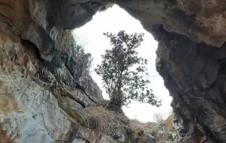 Правовые, экономические новости и сводка по специальной военной операции от нашего сетевого СМИ